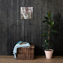 Load image into Gallery viewer, Birch