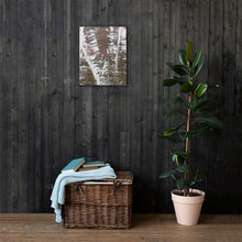 Load image into Gallery viewer, Birch