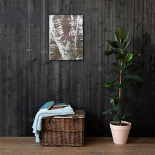 Load image into Gallery viewer, Birch