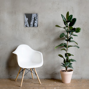 Bamboo