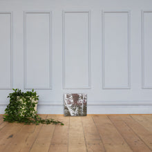 Load image into Gallery viewer, Birch
