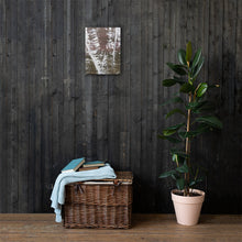 Load image into Gallery viewer, Birch
