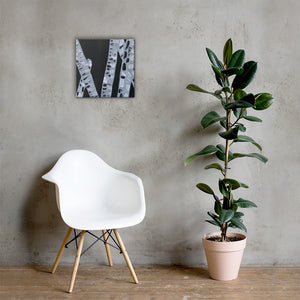 Bamboo