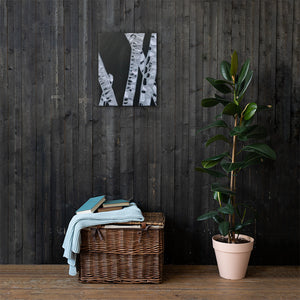 Bamboo