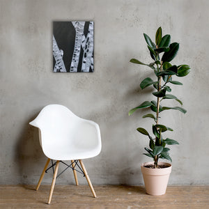 Bamboo