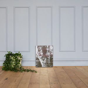 Birch