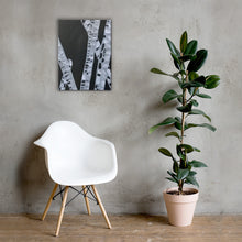 Load image into Gallery viewer, Bamboo
