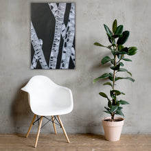 Load image into Gallery viewer, Bamboo
